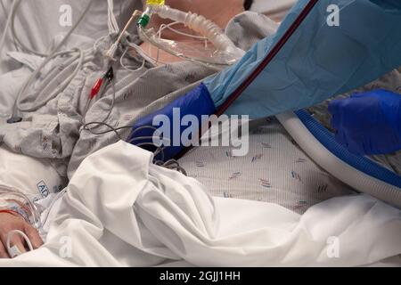 Eine Krankenschwester im Morton Plant Hospital in Clearwater, Florida, überprüft am Mittwoch, 25. August 2021, einen COVID-19-Patienten. (Foto von John Pendygraft/Tampa Bay Times/TNS/Sipa USA) Stockfoto