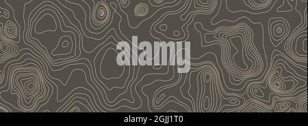 Konturen Vektortopographie. Vektordarstellung der geografischen Bergtopographie. Topografische Mustertextur. Höhenlinien der Höhengrafiken der Höhenlinien. Stock Vektor