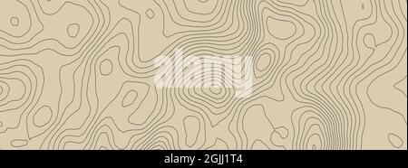 Konturen Vektortopographie. Vektordarstellung der geografischen Bergtopographie. Topografische Mustertextur. Höhenlinien der Höhengrafiken der Höhenlinien. Stock Vektor