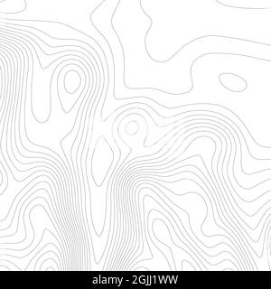 Konturvektor. Topografische Karte auf weißem Hintergrund. Höhenlinien der Topo-Karte. Abstrakte Vektordarstellung für Konturvektoren. Geografische Welt Stock Vektor