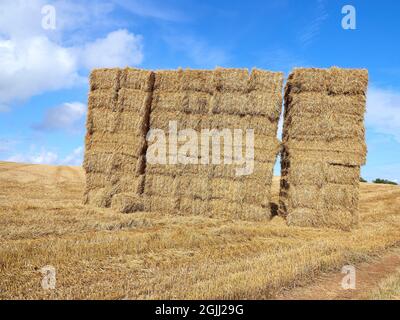 Hoher Heuhaufen in einem Feld in Gloucestershire, Großbritannien Stockfoto