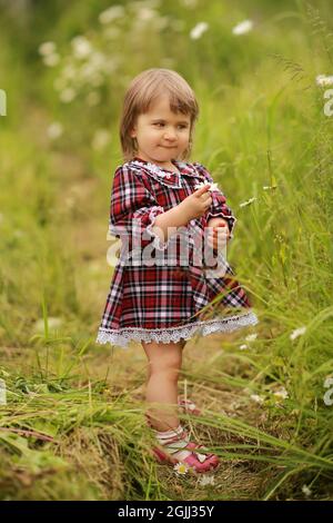 Ein kleines Mädchen in einem burgunderroten Kleid in Karo sammelt Kamillenblumen und lächelt. Stockfoto