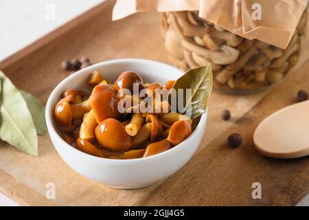 Eingelegte Honigpilze in einer Schüssel mit Lorbeerblatt und Gewürzen auf weißem Hintergrund serviert. Nahaufnahme. Stockfoto