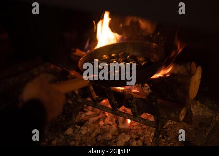 Geröstete Kastanien. Männliche Hand hält eine perforierte Pfanne auf dem Feuer. Kochen von Kastanien im Kamin des Hauses.Herbstkonzept. Selektiver Fokus Stockfoto