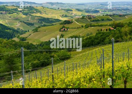 Ländliche Landschaft im Frühling in Langhe bei Dogliani, Provinz Cuneo, Piemont, Italien, UNESCO-Weltkulturerbe. Stockfoto