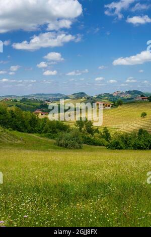 Ländliche Landschaft im Frühling in Langhe bei Dogliani, Provinz Cuneo, Piemont, Italien, UNESCO-Weltkulturerbe. Stockfoto