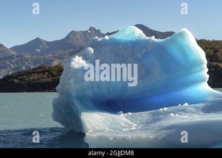 Eisberg schwimmt in einem See in Patagonien. Stockfoto
