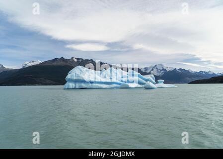 Eisberg schwimmt in einem See in Patagonien. Stockfoto