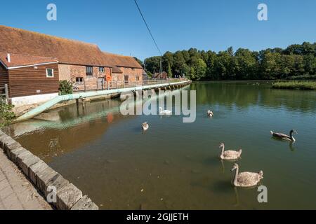 Eling Tide Mill, Bartley Water und das Mühlbecken mit Schwanen in Hampshire, England, Großbritannien Stockfoto