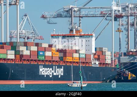 Hafen von Southampton (Hafen von Southampton) in Hampshire, England, Vereinigtes Königreich. Blick auf ein Hapag-Lloyd Containerschiff im Containerterminal. Stockfoto