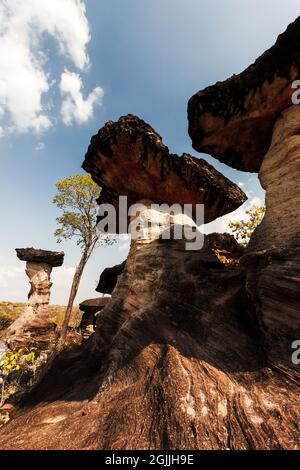 Landschaft aus Pilzfelsen auf einem alten Hochplateau in der Nähe des Mekong Flusses. PHA Taem Nationalpark, Reiseziele in Thailand. Stockfoto