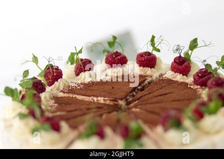 Ein wunderschön präsentierter Tiramisu-Kuchen, geschmückt mit frischen Himbeeren und zarten grünen Zweigen, elegant auf einem weißen Tisch präsentiert. Stockfoto