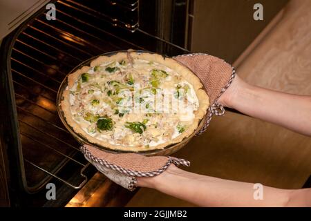 Frau nimmt einen offenen Shortbread-Kuchen mit Huhn und Brokkoli, bestreut mit Käse aus dem Ofen in ihrer Küche. Stockfoto