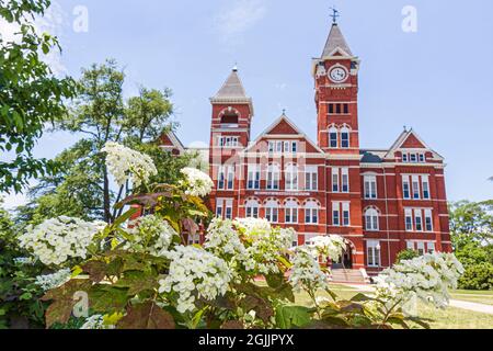Auburn Alabama, Auburn University, Samford Hall Clock Tower Verwaltungsgebäude Campus 1888 Stockfoto