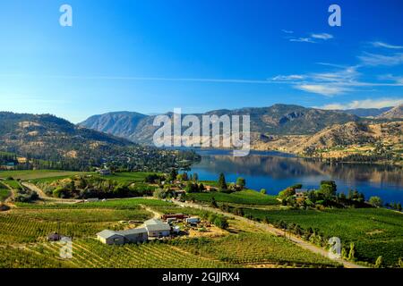 Blick auf den Skaha Lake von den Heritage Hills im Okanagan Valley zwischen Okanagan Falls und Penticton, British Columbia, Kanada. Stockfoto