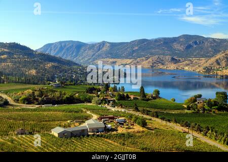 Blick auf den Skaha Lake von den Heritage Hills im Okanagan Valley zwischen Okanagan Falls und Penticton, British Columbia, Kanada. Stockfoto