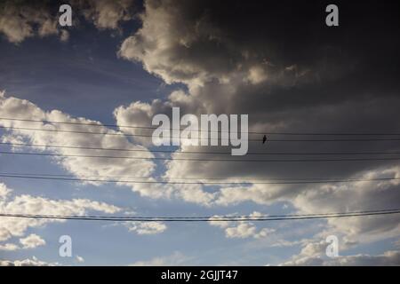 Die Taube sitzt auf einem elektrischen Draht. Blauer Himmel mit grauen Wolken. Stockfoto