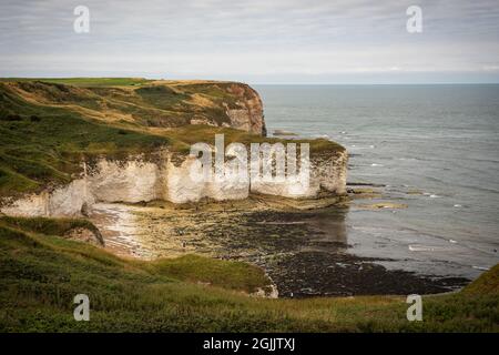 Die Kreidefelsen von Flamborugh Head in East Yorkshire, Großbritannien Stockfoto