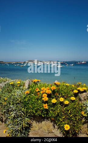 St. marys Harbour Isles of Scilly Stockfoto