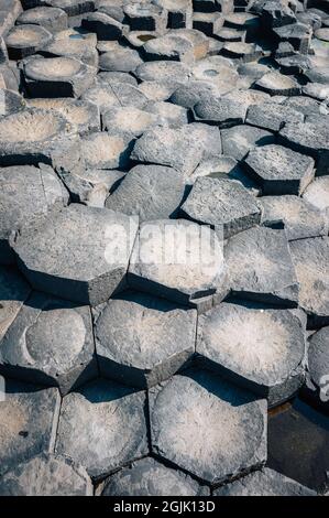 Giant's Causeway mit seinen ikonischen Basaltsäulen. County Antrim, Ulster Region, Nordirland, Vereinigtes Königreich. Stockfoto