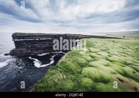 Downpatrick Head Rock und grüner Teppich aus weichen Grasblasen. Irland Stockfoto