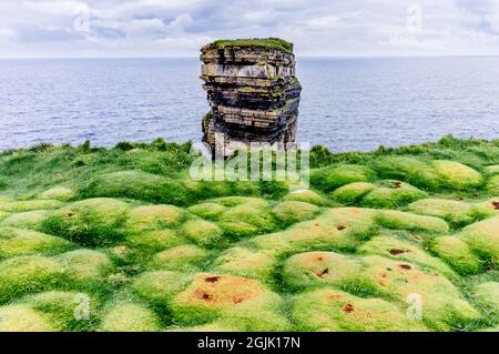 Downpatrick Head Rock und grüner Teppich aus weichen Grasblasen. Irland Stockfoto