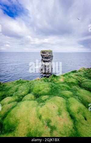 Downpatrick Head Rock und grüner Teppich aus weichen Grasblasen. Irland Stockfoto