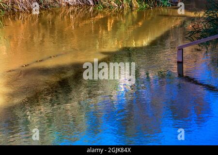 Jordan River abstrakt in der Nähe von Bethanien Betharaba wo Johannes taufte Jesus.  Foto von Jordan Seite Blick auf Israel.  Website direkt neben Al-Maght Stockfoto