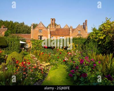 Viele farbenfrohe Dahlien im versunkenen Garten des Chenies Manor House, Buckinghamshire.eine Fülle von roten, orangefarbenen, violetten Dahlien in voller Blüte. Stockfoto