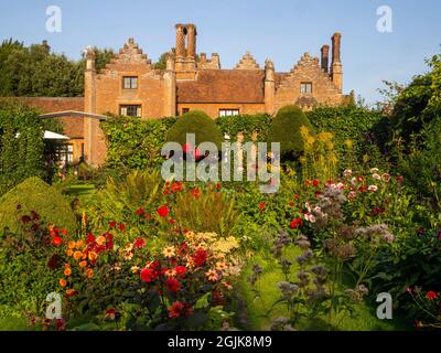 Viele farbenfrohe Dahlien im versunkenen Garten des Chenies Manor House, Buckinghamshire.eine Fülle von roten, orangefarbenen, violetten Dahlien in voller Blüte. Stockfoto