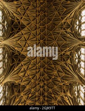 Gloucester Cathedral's Vault, Gloucester, England, Vereinigtes Königreich Stockfoto