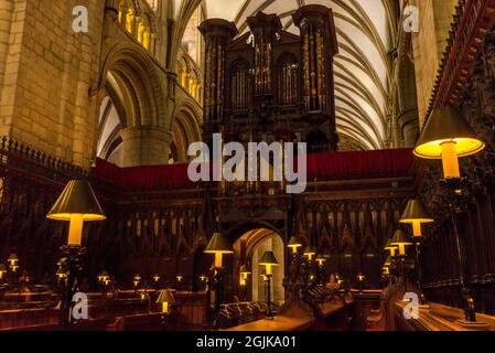 Chorgestühl der Gloucester Cathedral Gloucestar, England Stockfoto