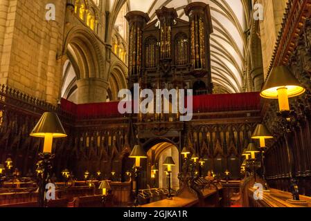 Chorgestühl der Gloucester Cathedral Gloucestar, England Stockfoto