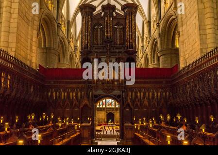 Chorgestühl der Gloucester Cathedral Gloucestar, England Stockfoto