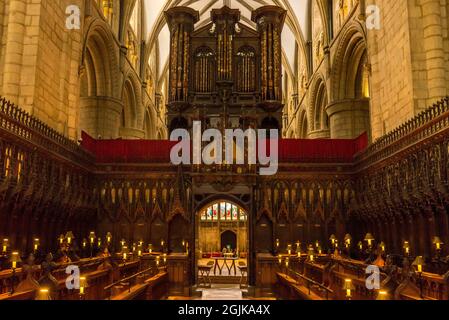 Chorgestühl der Gloucester Cathedral Gloucestar, England Stockfoto