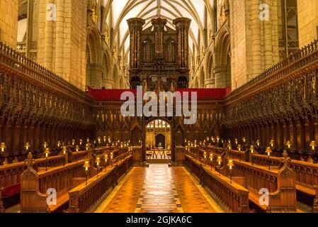 Chorgestühl der Gloucester Cathedral Gloucestar, England Stockfoto