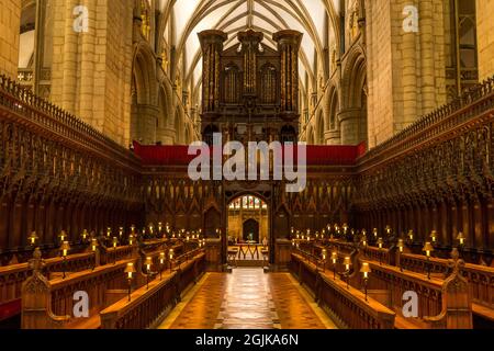 Chorgestühl der Gloucester Cathedral Gloucestar, England Stockfoto