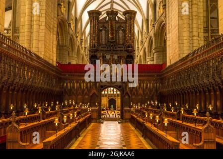 Chorgestühl der Gloucester Cathedral Gloucestar, England Stockfoto