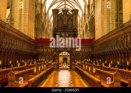 Chorgestühl der Gloucester Cathedral Gloucestar, England Stockfoto