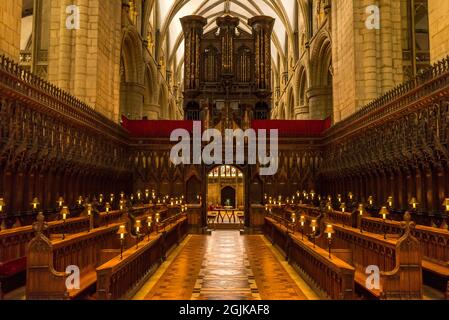 Chorgestühl der Gloucester Cathedral Gloucestar, England Stockfoto