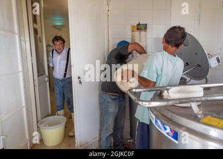 Schafkäserei, Montevago, Sizilien, Italien Stockfoto