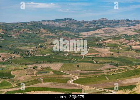 Weinbau im Belìce-Tal, Sizilien, Italien Stockfoto