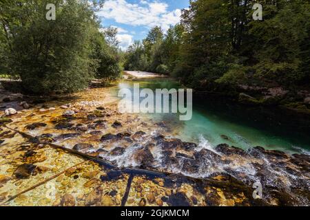 Bohinjska bistrica in Ukanc fließt im Sommer in den Bohinjer See. Stockfoto