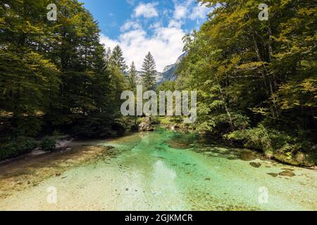 Bohinjska bistrica in Ukanc fließt im Sommer in den Bohinjer See. Stockfoto