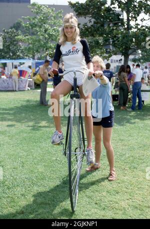 Heather Locklear um die 1980er Jahre Credit: Ralph Dominguez/MediaPunch Stockfoto