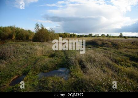 Eine malerische Landschaft. Eine Landstraße, die durch Felder mit Gräsern führt, die von der Herbstkälte vergilbt sind. Stockfoto