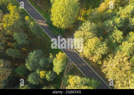 Asphaltstraße durch einen dichten Kiefernwald. Blick von der Drohne. Stockfoto