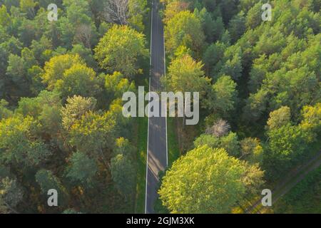 Asphaltstraße durch einen dichten Kiefernwald. Blick von der Drohne. Stockfoto