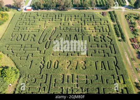 Richland, Michigan - Ein Maislabyrinth mit Suizidprävention-Thema bei Gull Meadow Farms. Stockfoto