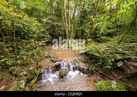 Tuffsteinbildung im Forest of Dean, Gloucestershire. VEREINIGTES KÖNIGREICH. Stockfoto